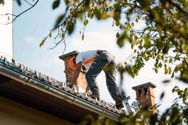 Best Roof Maintenance Services  in Peaceful Valley, WA